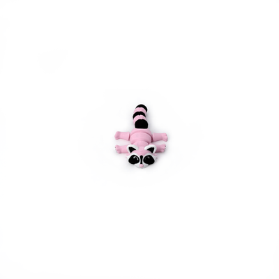 Trash Panda Raccoon Fidget Toy