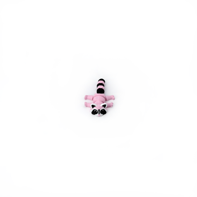 Trash Panda Raccoon Fidget Toy