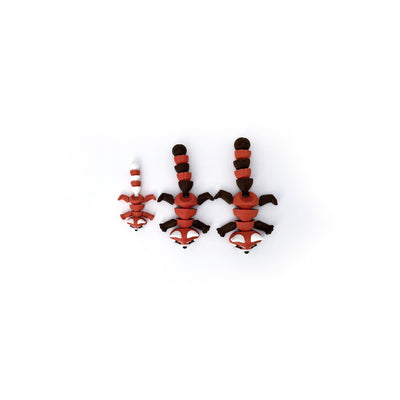 Red Panda Size Comparison